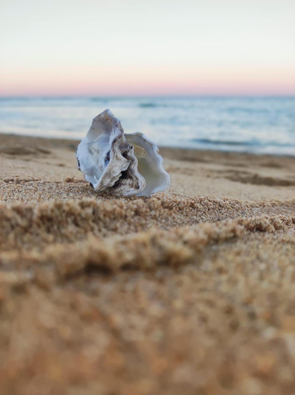 Maison A 8 Min A Pied De La Plage Avec Jardin Clos Et Ombrage Saint-Georges-d'Oleron Eksteriør bilde
