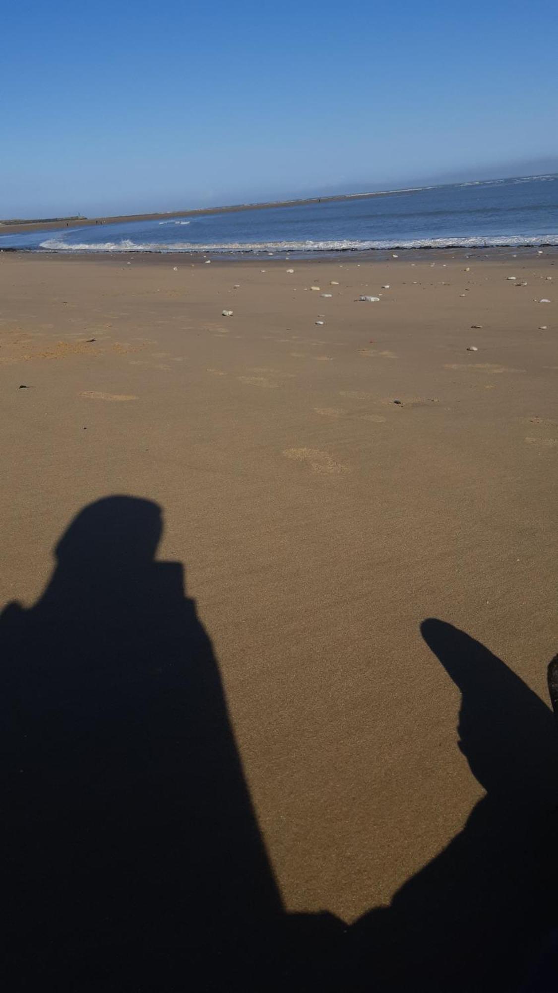 Maison A 8 Min A Pied De La Plage Avec Jardin Clos Et Ombrage Saint-Georges-d'Oleron Eksteriør bilde