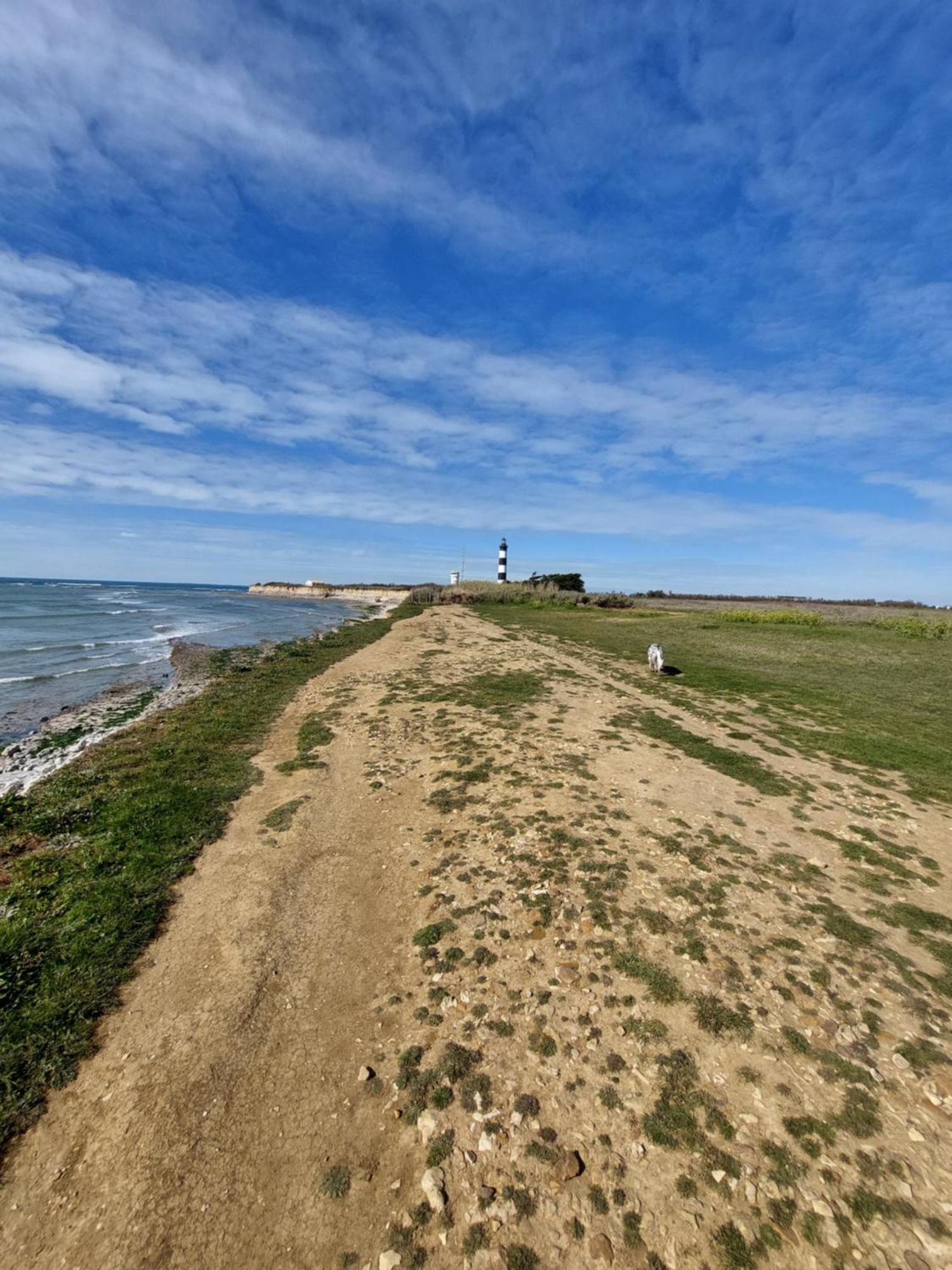 Maison A 8 Min A Pied De La Plage Avec Jardin Clos Et Ombrage Saint-Georges-d'Oleron Eksteriør bilde
